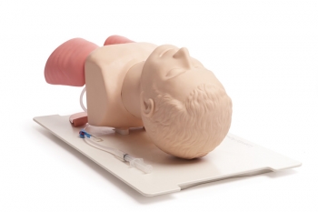 Airway Management Trainer