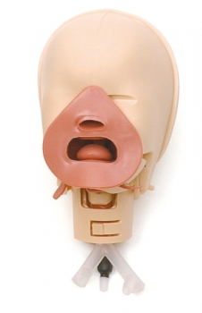 Neugeborenen Intubationstrainer