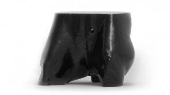 Hundebecken - Phantom für CT und Röntgen