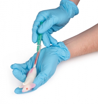 Simulationsmodell Maus