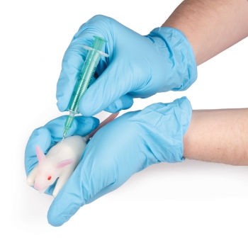 Simulationsmodell Maus