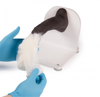 Verbandstrainer Hundepfote