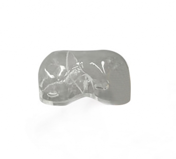 Leber RI Behälter für Radioisotope für R16511