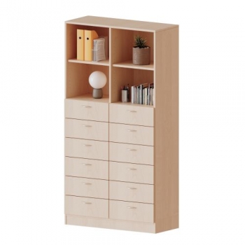 Schubladenschrank mit 12 Schüben B/H/T 100x190x40 cm