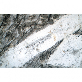 Gesteinsdünnschliffe Magmatite
