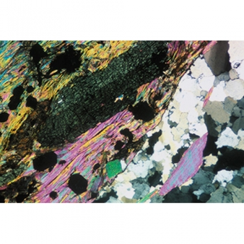 Gesteinsdünnschliffe Magmatite