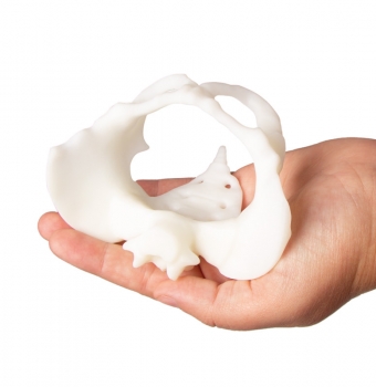 Mini Becken mit Geburtspuppe