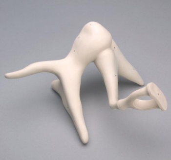 Gehörknöchelchen-Kette