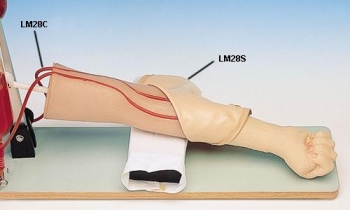 Ersatzhaut für LM28