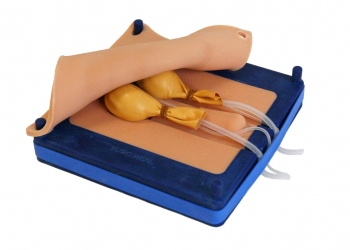 Simulator für Hundekastrationen