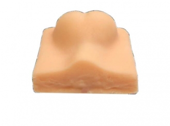 Simulationsmodell Hunde Kastration