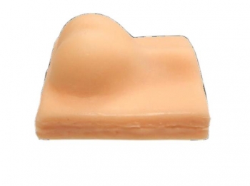 Simulationsmodell Hunde Kastration