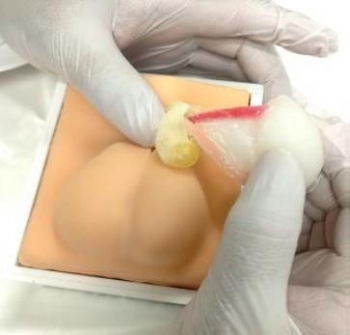 Simulationsmodell Hunde Kastration