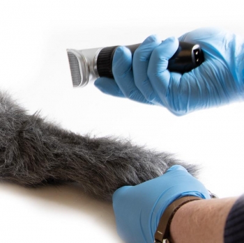 I.V. Injektionsbein Hund