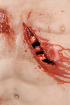 Trauma Training Torso