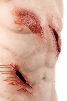 Trauma Training Torso
