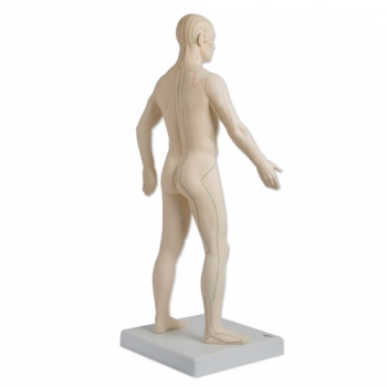 Akupunktur-Figur, männlich
