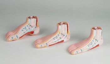 Miniatur - Fußserie, 3 Modelle