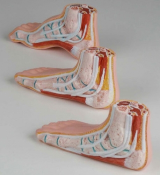 Miniatur - Fußserie, 3 Modelle