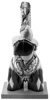 Männlicher Torso (A 33)