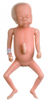 Frühgeborenenbaby, weiblich (MS 61)
