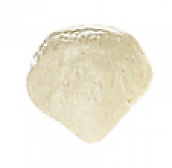 Kniescheibe (Patella) (QS 19/7)