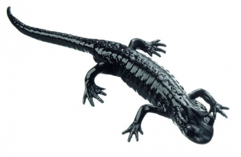 Alpensalamander (ZoS 1000)