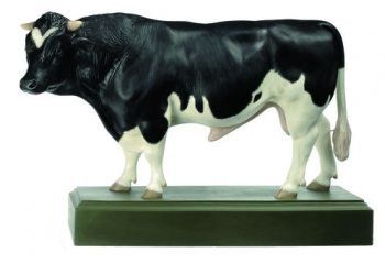 Ostfriesischer Zuchtbulle (Zo 73)