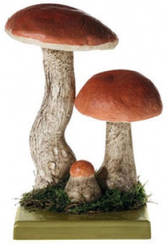 Rotkappe (BoS 29)