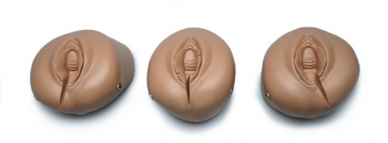 Episiotomie-Übungsmodul