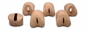 Modul Geburtsfortschritt