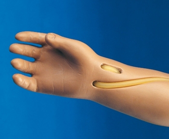 Intravenöser Übungsarm für R17700