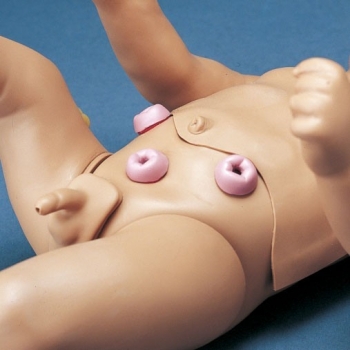 Stomata mit Reservoirs für R17700