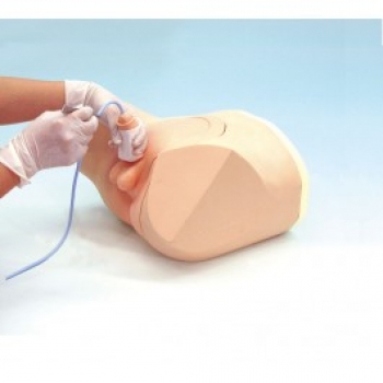 Katheterisierungs-/Einlauf-Simulator, männlich