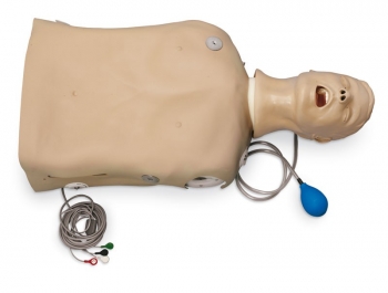 Airway Larry Erwachsenen-Airway Management Trainer Torso