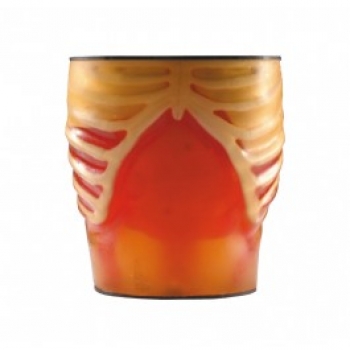 Ultraschall-Übungsmodell Anatomie und Pathologie