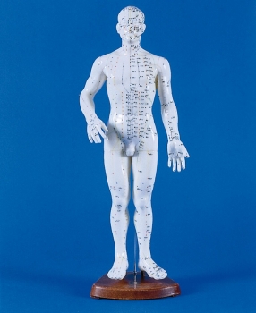 Chinesische Akupunkturfigur, männlich