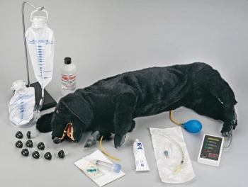 HLW Hund, erweiterte Ausführung