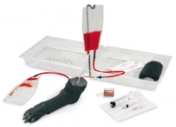 Hundebein zur Infusion