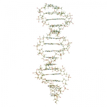 DNA-Set