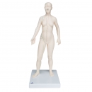 Akupunktur-Figur, weiblich