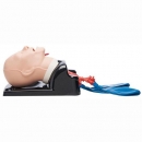 Beatmungstrainer, AirSim Advanced-Modell mit Bronchialbaum
