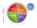 Kunststoffteller mit USDA-Grafik - MyPlate Plate