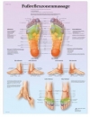 Lehrtafel - Fußreflexzonenmassage