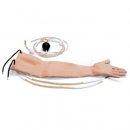 Haut mit 3 Arterienabschnitten