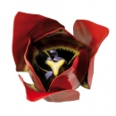 Tulpenblüte (Tulipa gesneriana), Modell