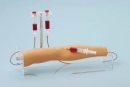 Trainingsarm f&uuml;r intraven&ouml;se Injektion (7020)
