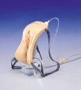 Weibliches Katheterisierungsmodell (LM25)
