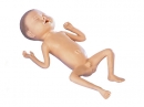 Frühgeborenen Modell 24 Wochen alter Junge