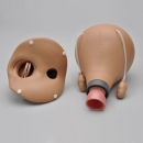 Nachgeburtlicher Uterus für R10183